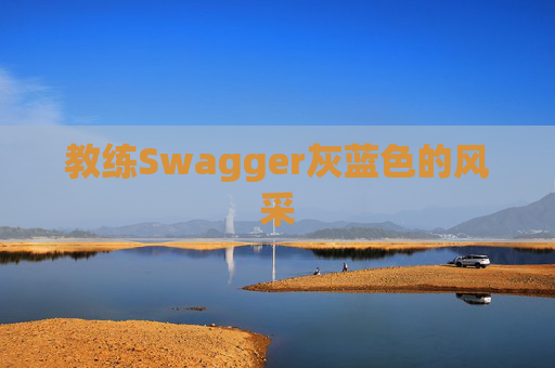 教练Swagger灰蓝色的风采